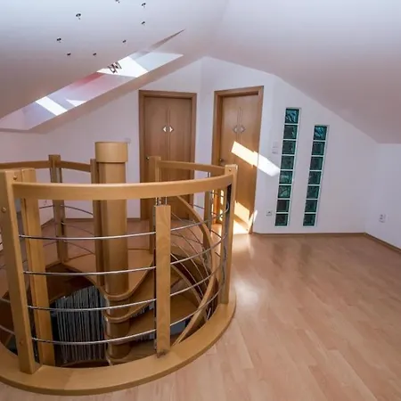 Family 돌니 쿠빈