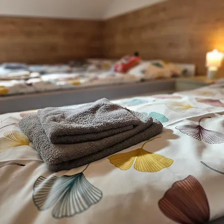 公寓 Family 道尼库宾