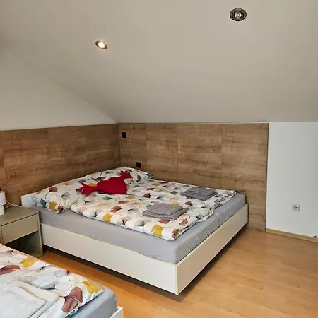 Family * 道尼库宾